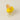 Ice Cream – Mango